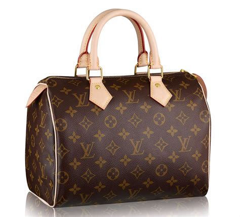 which louis vuitton speedy should i buy|louis vuitton speedy 30 dimensions.